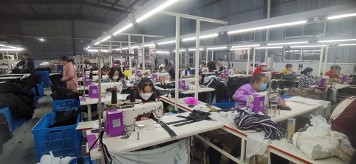 構建產業發展新生態,激發鄉村振興活力源